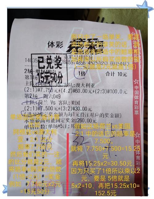 世界杯投注心得交流：高手独家分享